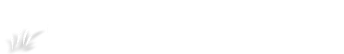 rasensamen-kaufen.de