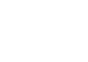 Wacken Beer